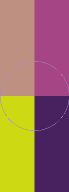 Aliquam erat eu vel.